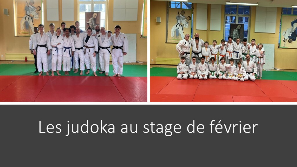 Un beau stage de judo organisé au CAP