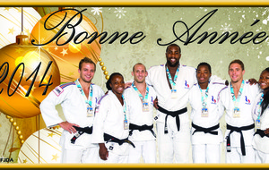 Bonne année 2014