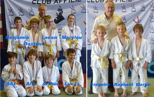 Participation des Poussins et petits-Poussins au tournoi d'EU,  le 11 mai 2014