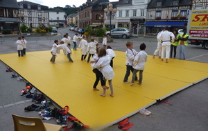 Judo tour 2014 à Pavilly