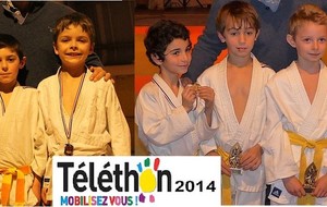 Tournoi du Téléthon MARTIN-EGLISE le dimanche 7 décembre 2014