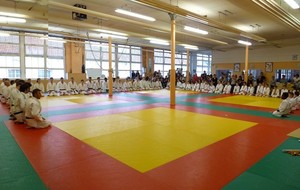 Cérémonie de remise des grades