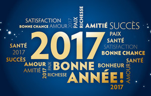 Meilleurs Voeux 2017 !