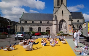 JUDO TOUR 76 11 juillet 2018