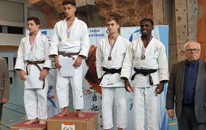 David Le Lièvre, qualifié pour le championnat de France cadets de judo
