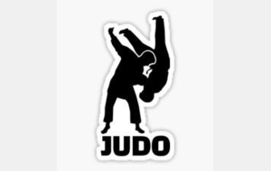 Cours de judo du vendredi 28 juin annulés.