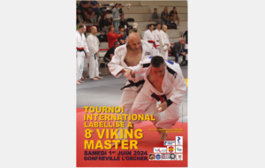 Viking Master de Gonfreville l'Orcher, samedi 1er juin 2024