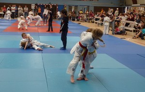 5754a8277e852_P1160542.JPG