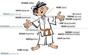 5e79e5eaa6d1a_Anatomiedujudoka.jpg