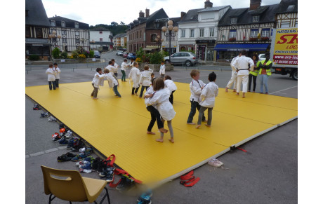 Judo tour 2014 à Pavilly