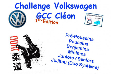 Tournoi de Cléon, dimanche 17 mai 2015
