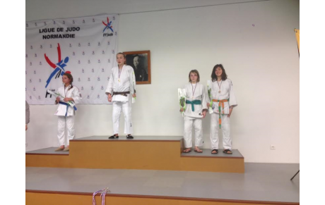 3ème Tournoi Satellite Minimes / 2ème Circuit Régional Ceintures de Couleur à Forges - 27 et 28 Février 2016