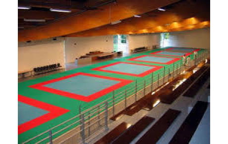 Championnat individuel Minimes - 20 Mars 2016 à Forges