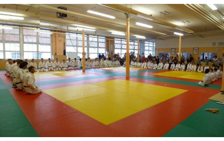 Cérémonie de remise des grades