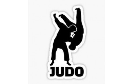 Cours de judo du vendredi 28 juin annulés.