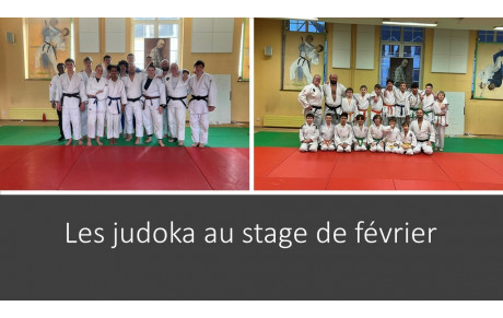 Un beau stage de judo organisé au CAP